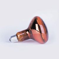 Лампа-термоизлучатель ИКЗК 230-60Вт R63 E27 (50) КЭЛЗ 8105041 в Максэлектро