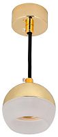 Светильник 4012 подвесной под лампу GX53 золото IEK LT-UCB0-4012-GX53-1-K22 в Максэлектро